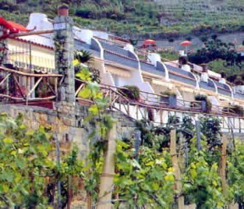 Residence 2 stelle in Forio d'Ischia - Residence La Rosa 