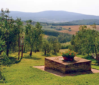 Bed and breakfast Monteriggioni - Bed and breakfast L'Aia Country Holidays