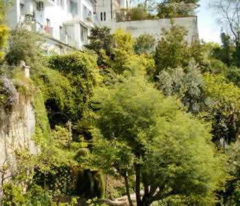 Bed and breakfast<br> stelle in Napoli - Bed and breakfast<br> Bonapace Mergellina 